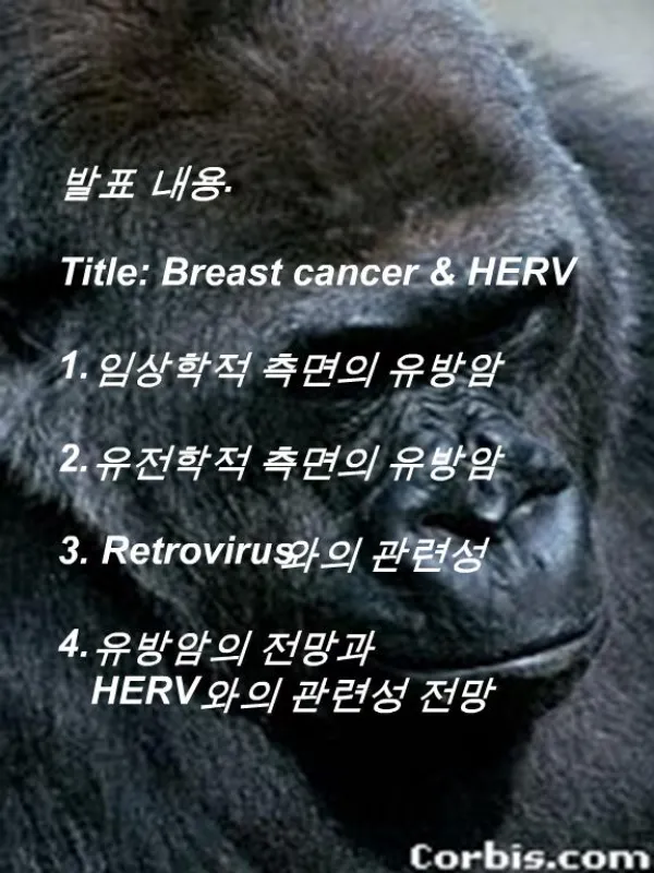 . Title: Breast cancer HERV 1. 2. 3. Retrovirus 4. HERV