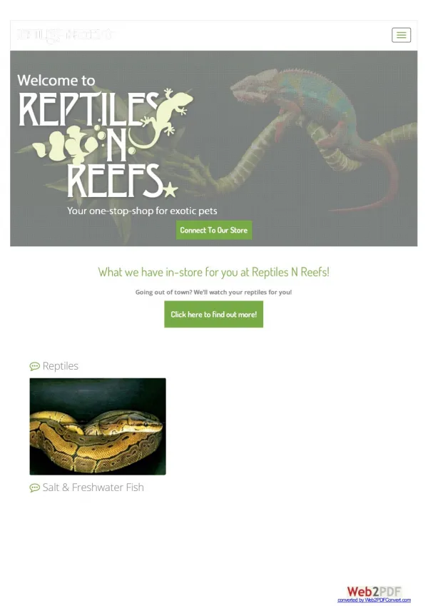 Crested geckos for sale las vegas