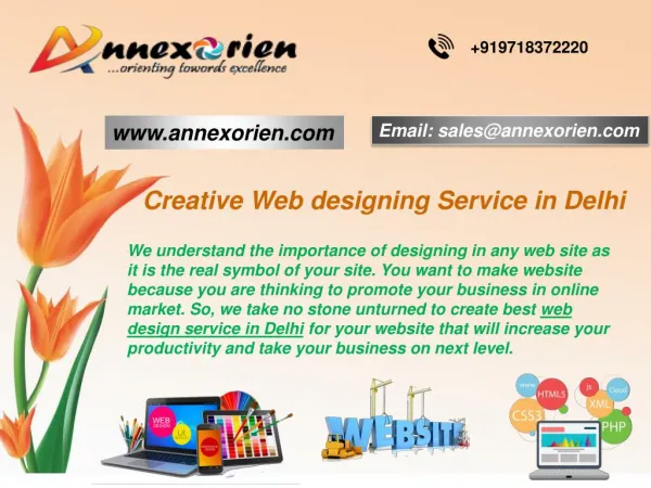 Creative Web designing Service in Delhi