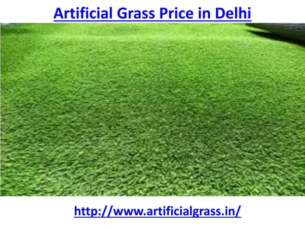 What is the best artificial grass price in Delhi