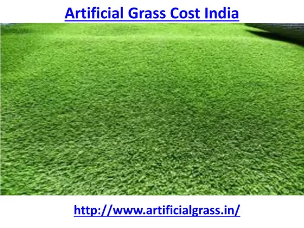 Which is the best artificial grass cost India