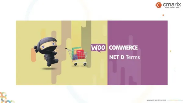 WooCommerce Customization for Net D Terms