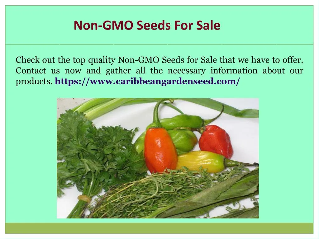 non gmo seeds for sale