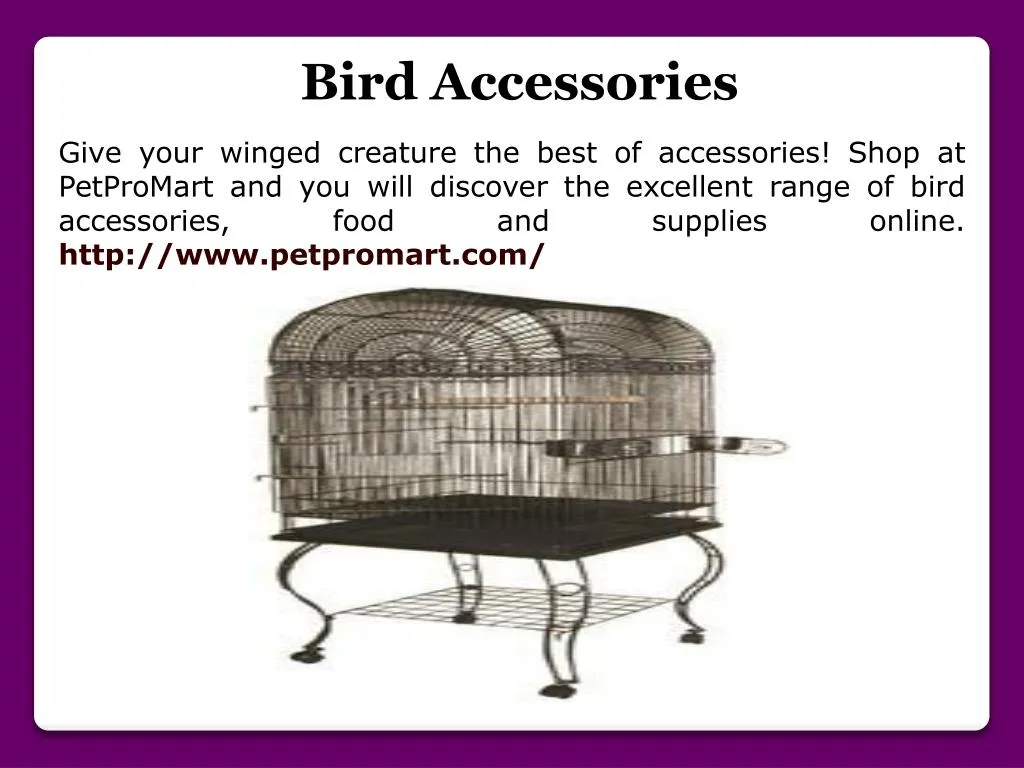 bird accessories