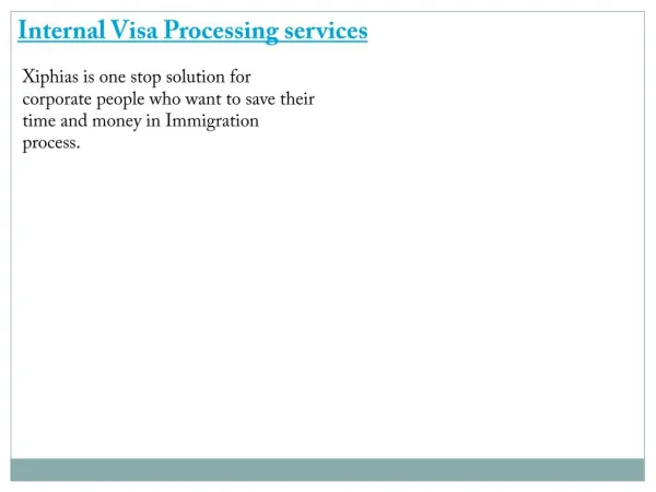 Internal Visa Processing services