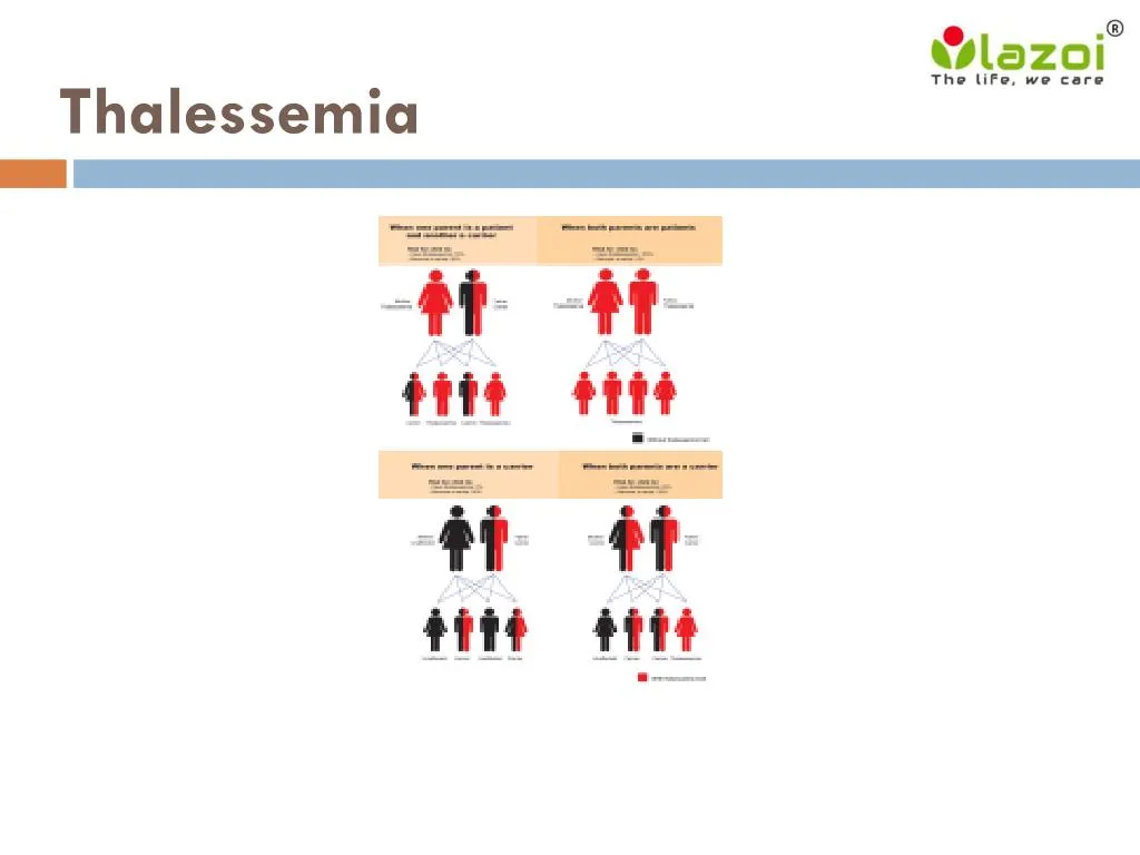 thalessemia