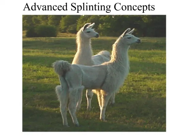 Advanced Splinting Concepts