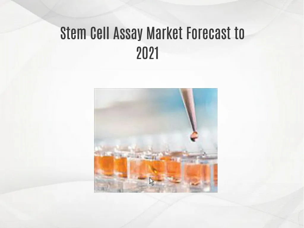 stem cell assay market forecast to stem cell