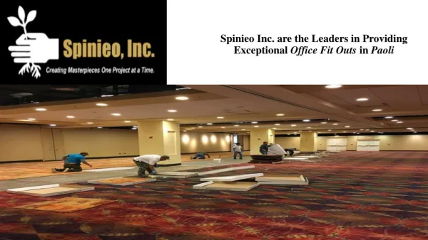 Spinieo Inc. are the Leaders in Providing Exceptional Office Fit Outs in Paoli