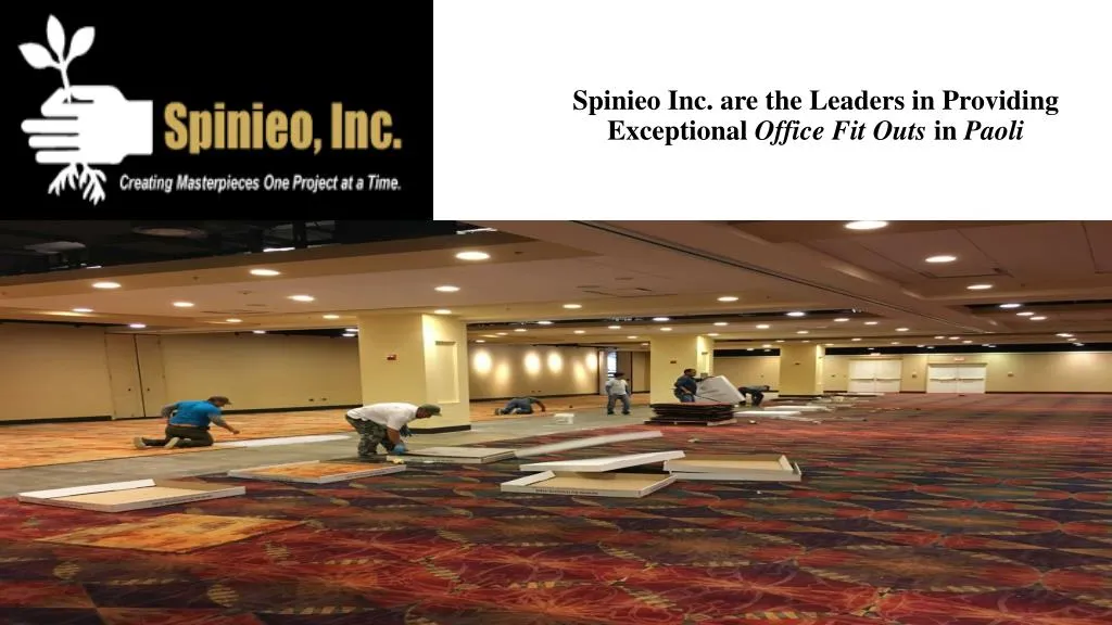 spinieo inc are the leaders in providing exceptional office fit outs in paoli