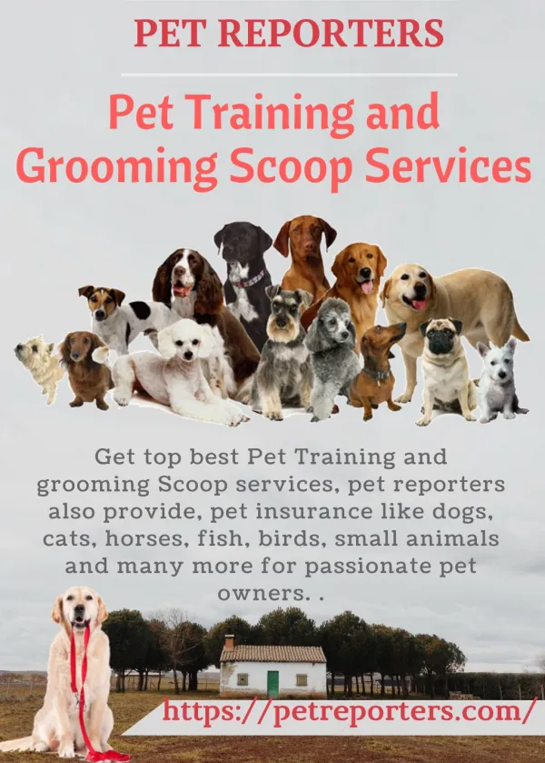 Pet Training and Grooming Scoop Services
