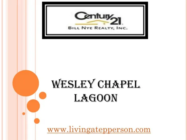 Wesley Chapel Lagoon - livingatepperson.com