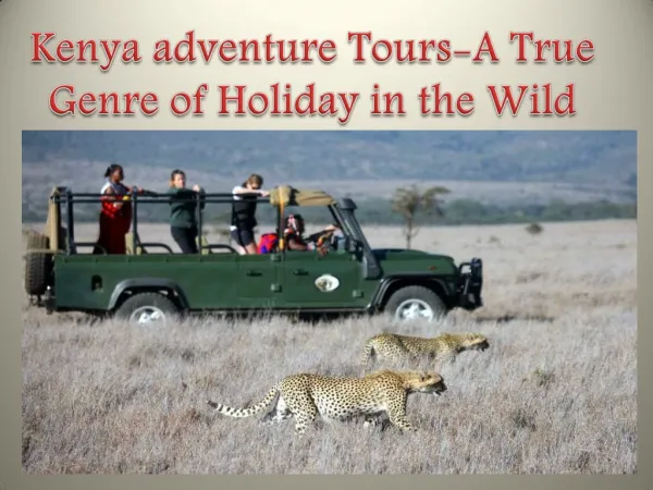 Kenya adventure Tours-A True Genre of Holiday in the Wild