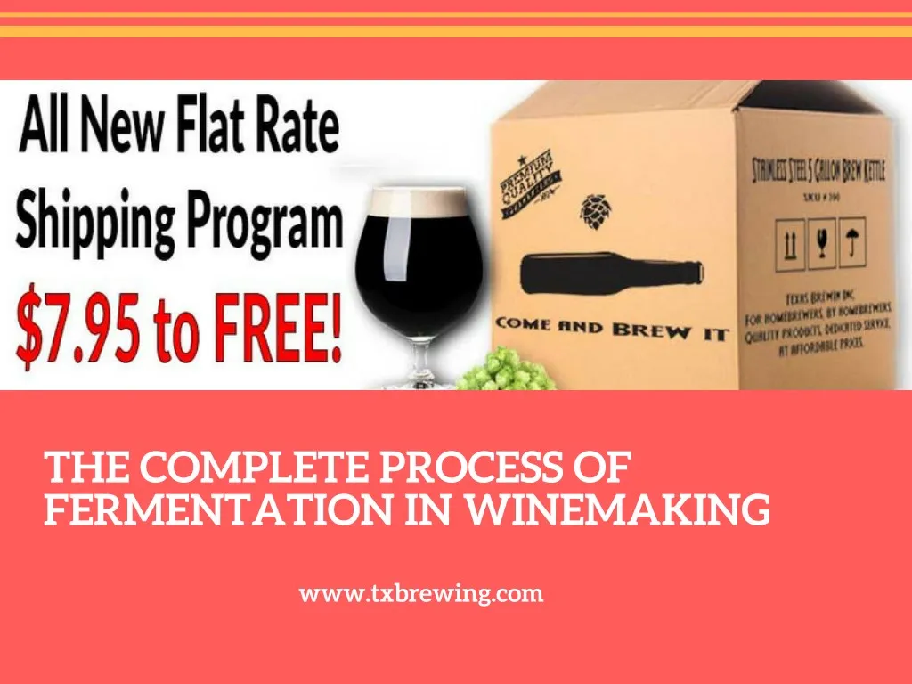 the complete process of fermentation in winemaking