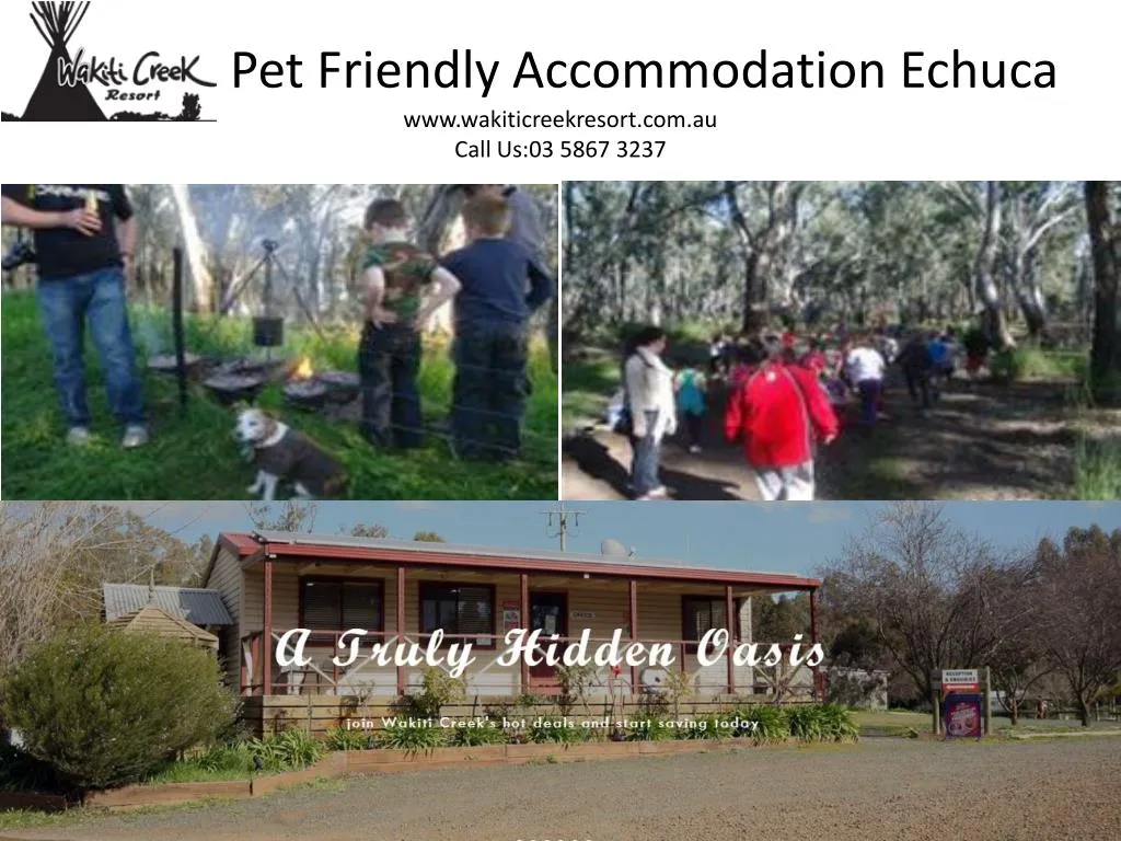 pet friendly accommodation echuca www wakiticreekresort com au call us 03 5867 3237