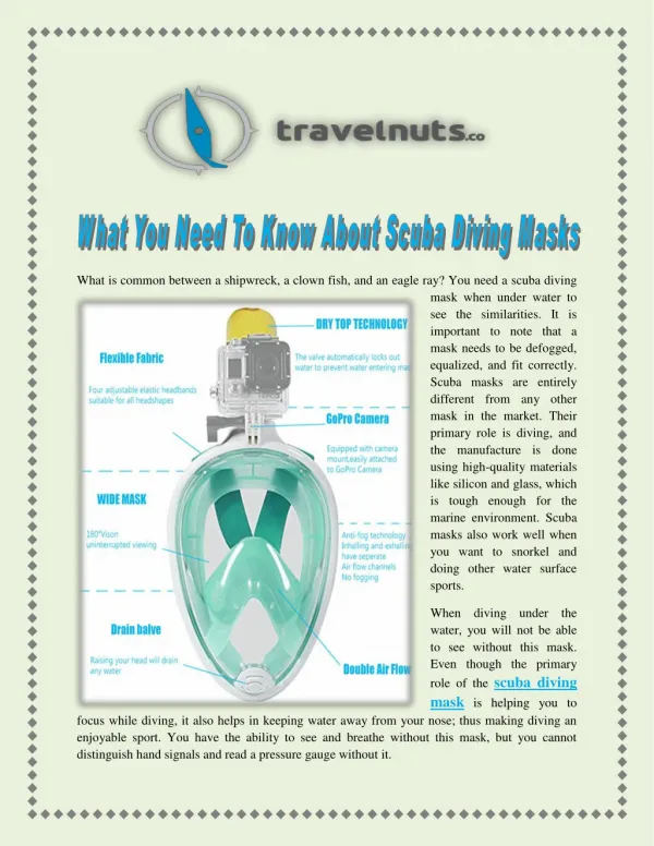 What You Need To Know About Scuba Diving Masks