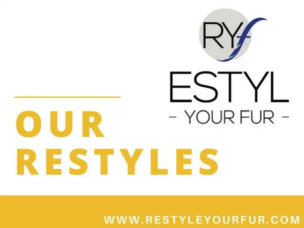 Restyle Your Fur - Get Restyling, Storage and Repair