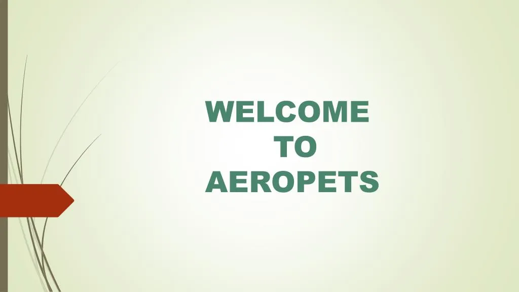 welcome to aeropets