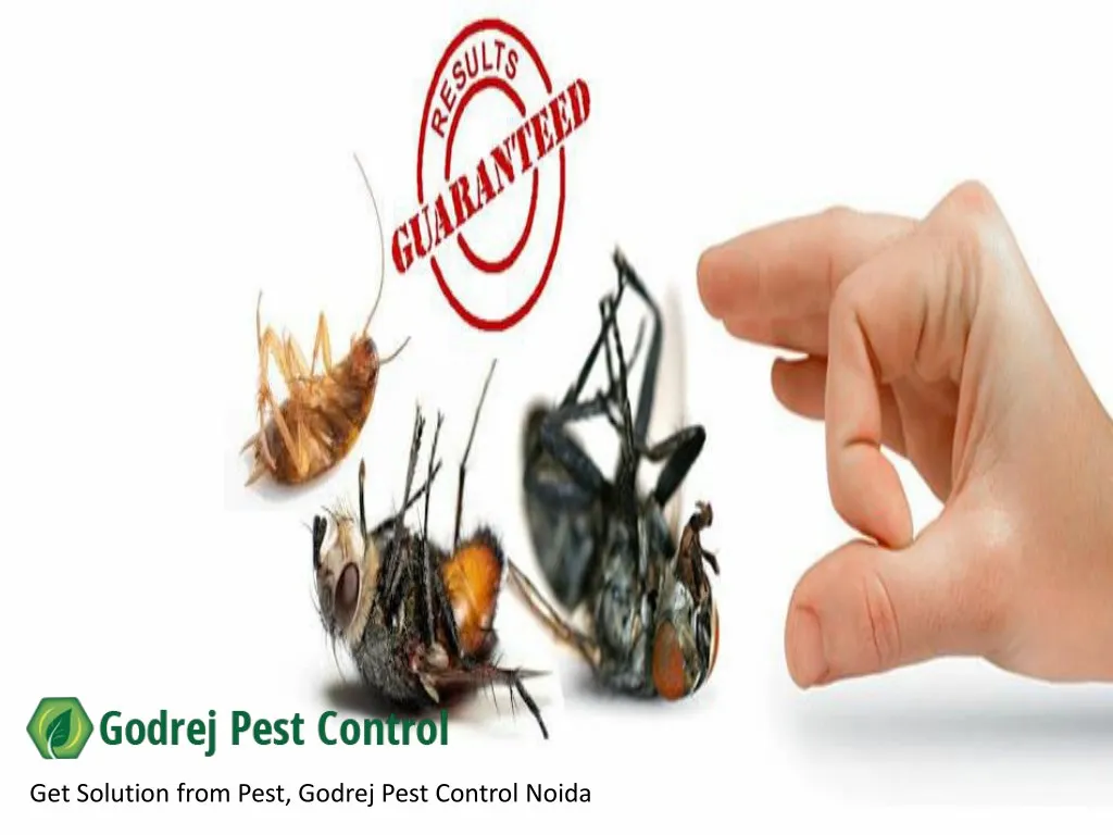 get solution from pest godrej pest control noida