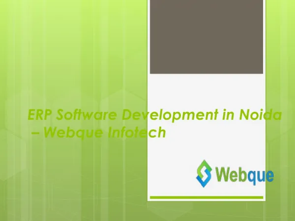 ERP Software Development Service at Webque infotech
