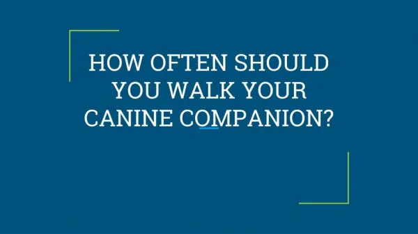 HOW OFTEN SHOULD YOU WALK YOUR CANINE COMPANION?