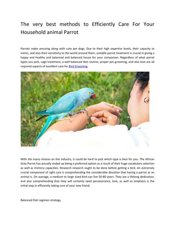 The very best methods to Efficiently Care For Your Household animal Parrot