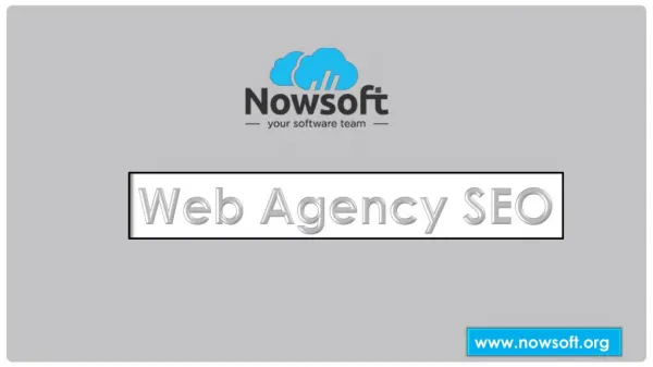 Nowsoft Is The Only Web Agency SEO To Give Flat Pricing