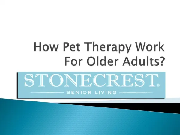 How Pet Therapy Work For Older Adults?