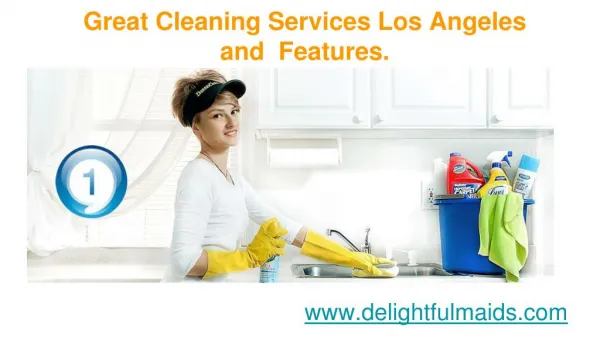 Great Cleaning Services Los Angeles and Features | delightfulmaids