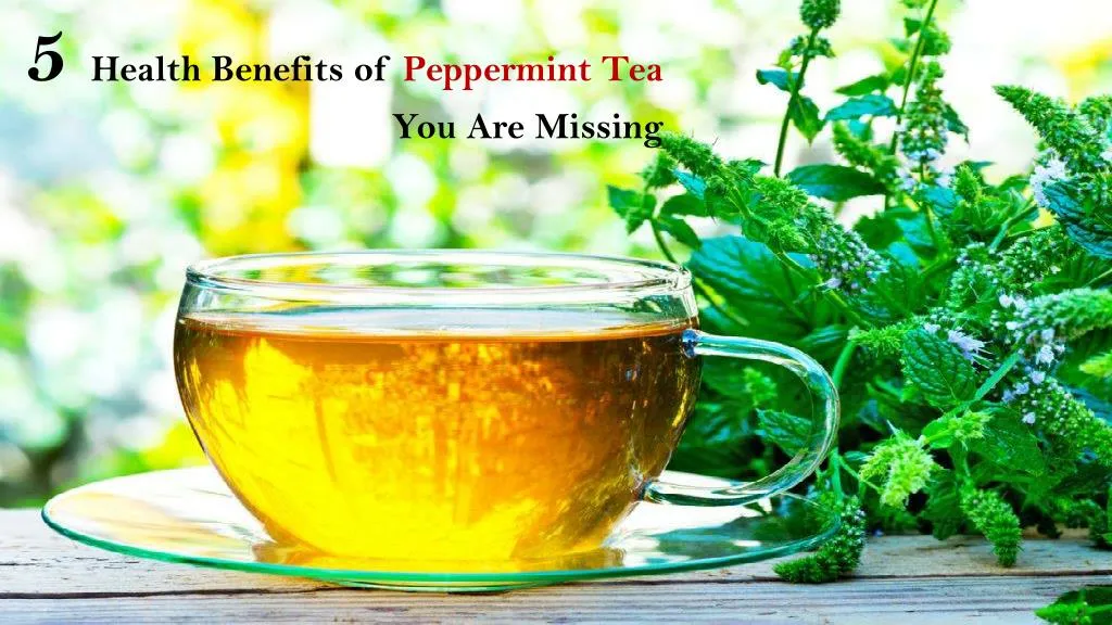5 health benefits of peppermint