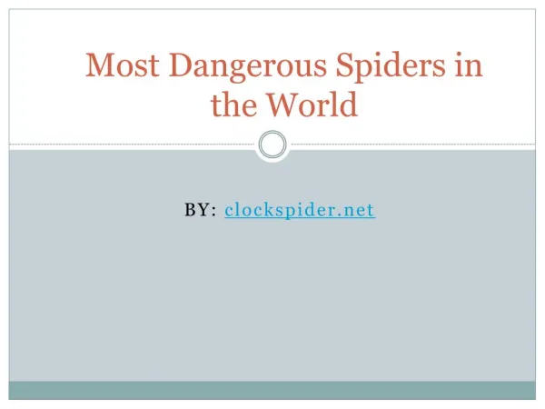 Most Dangerous Spiders in the World