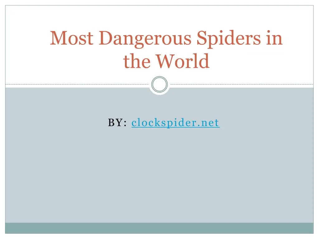 most dangerous spiders in the world
