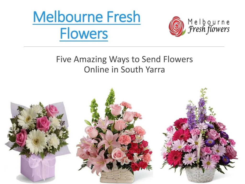 melbourne fresh melbourne fresh flowers flowers