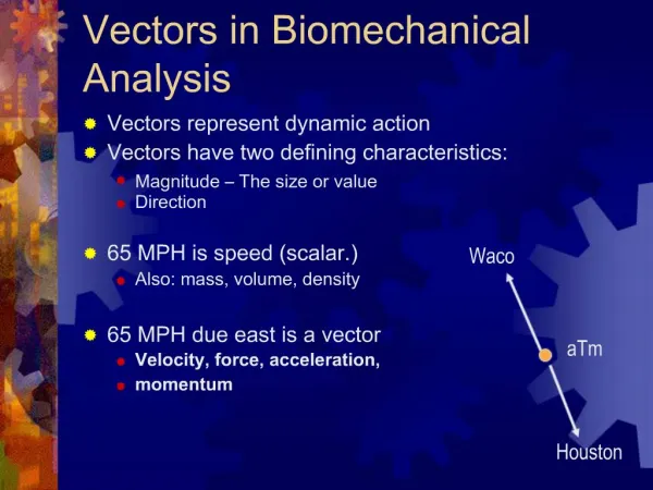 Vectors in Biomechanical Analysis