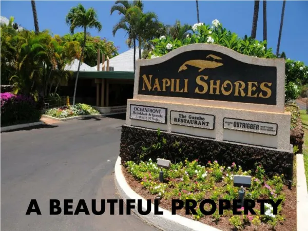 Napili Shores in Maui