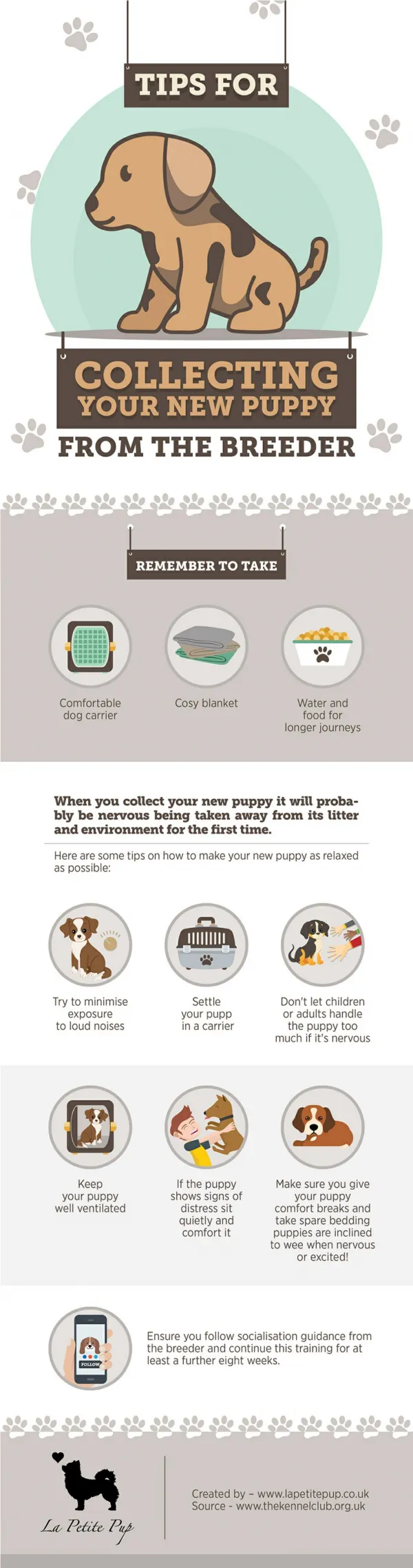 Tips For Collecting Your New Puppy From The Breeder