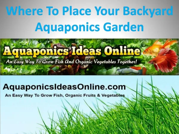 Where To Place Your Backyard Aquaponics Garden