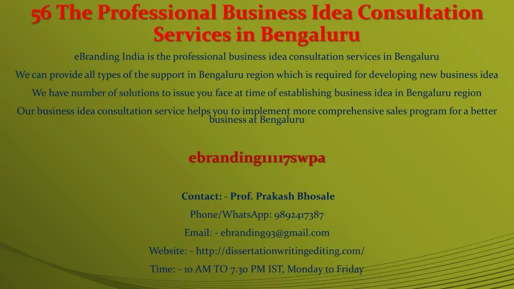 56 the professional business idea consultation services in bengaluru