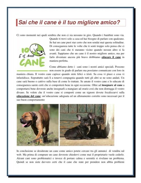 Sai che il cane e' il tuo migliore amico