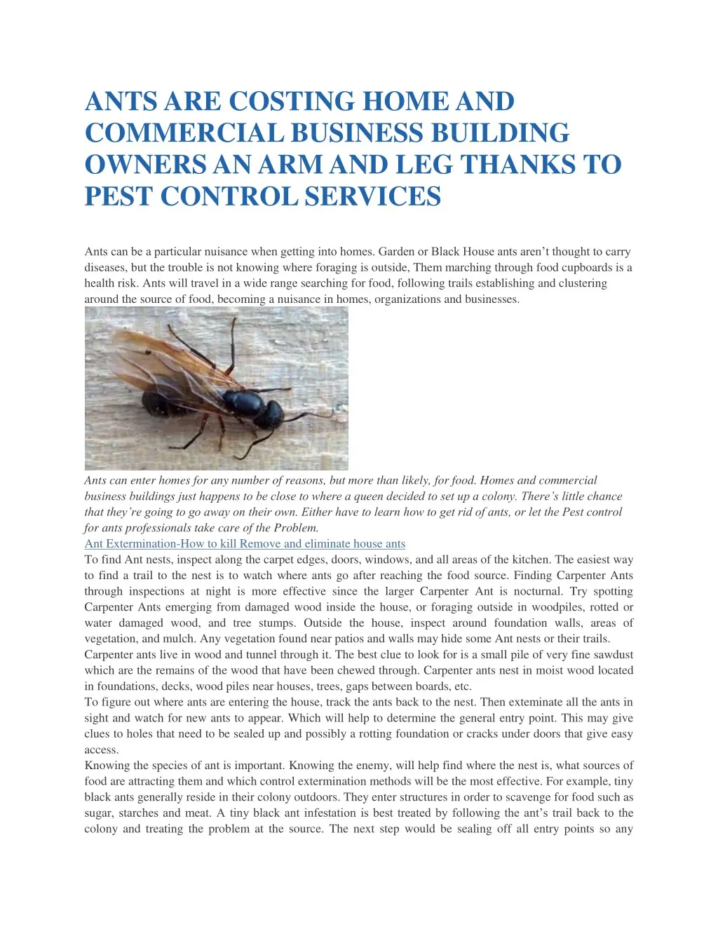 ants are costing home and commercial business
