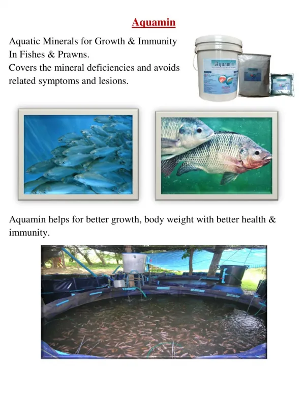 Aquaculture feed supplement