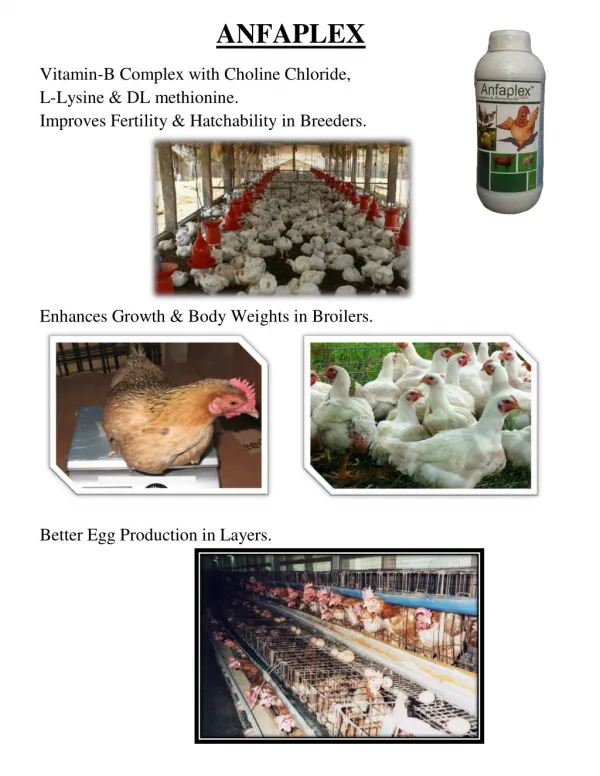 Poultry Health Tonic