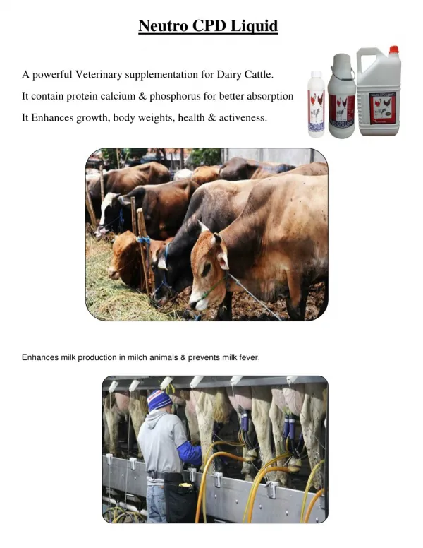 Cattle Milk Enhancer