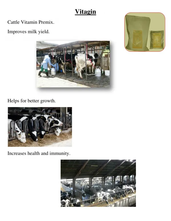 cattle feed additives