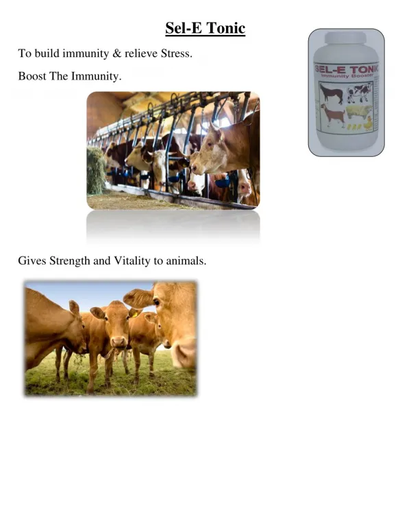 Cattle Vitamins