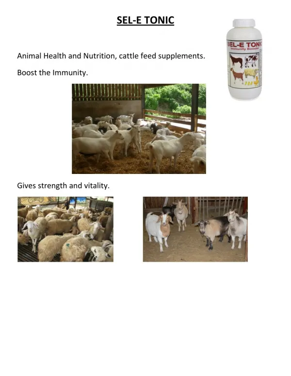 Animal Health and Nutrition