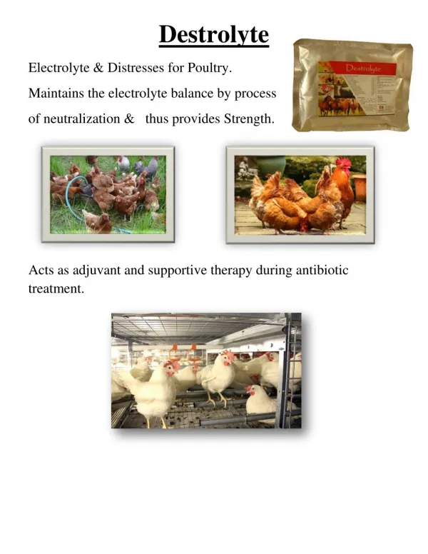 Poultry Feed Additives