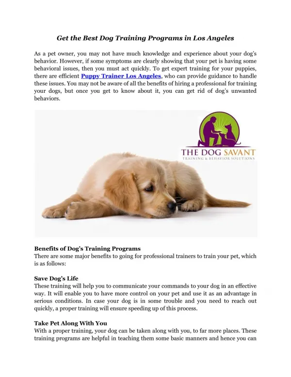 Dog Training and Behavior Solutions - The Dog Savant
