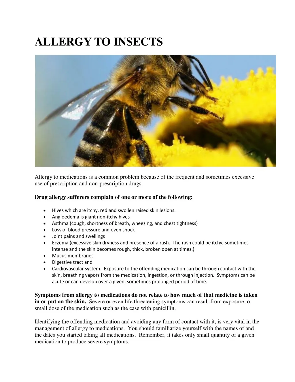 allergy to insects