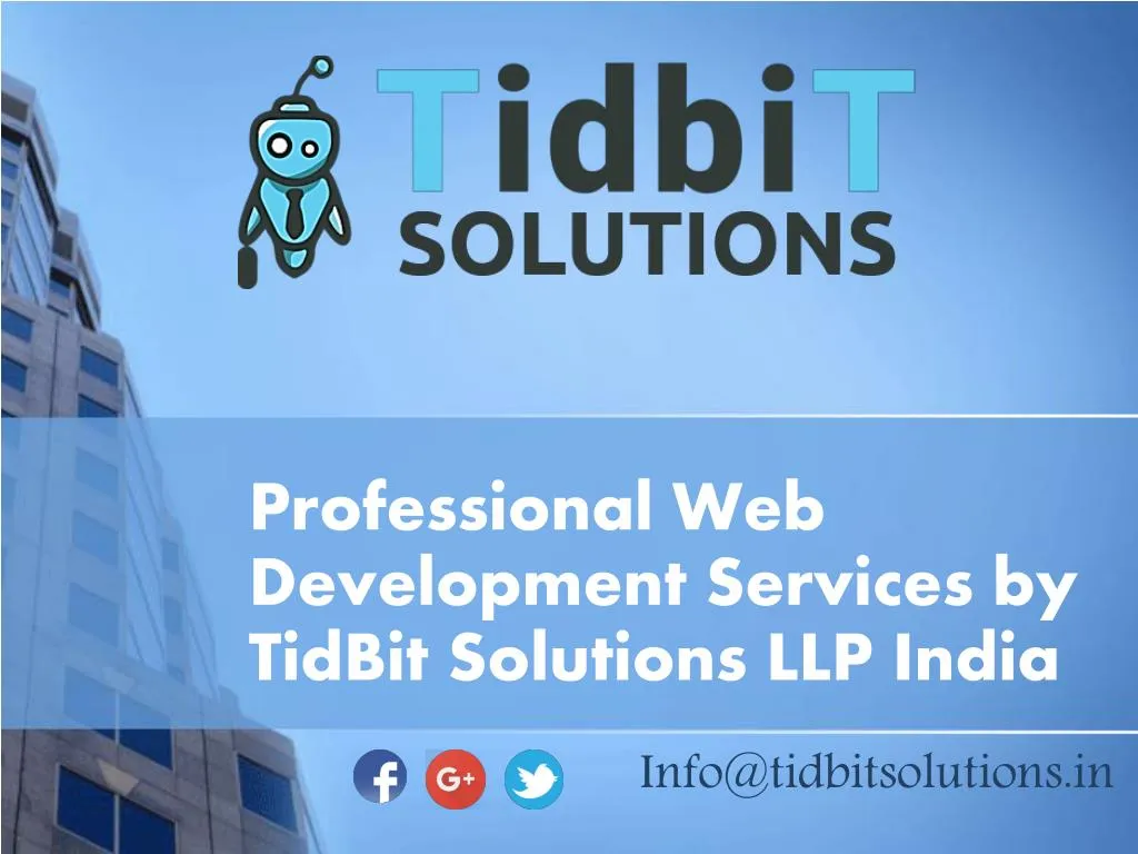 professional web development services by tidbit solutions llp india